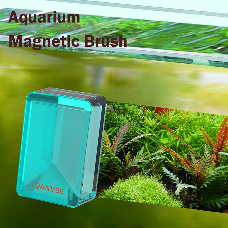 Planted Aquarium Algae - Qanvee-حوض السمك فرشاة المغناطيسي ، أدوات