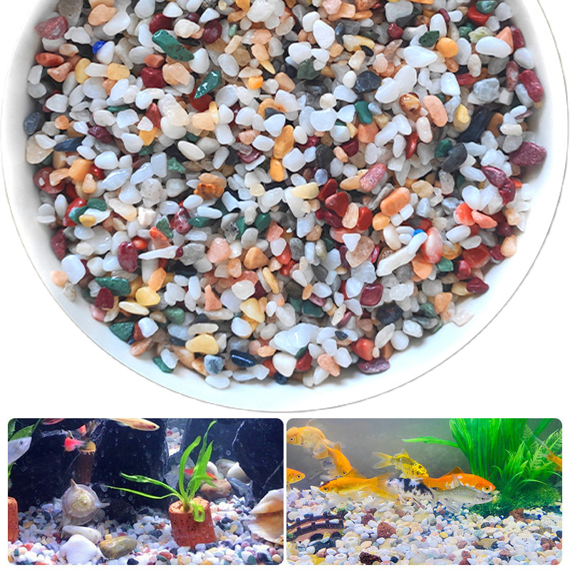 Planted Aquarium With Gravel - حصى طبيعي 200~1000 جرام لتزيين الحدائق