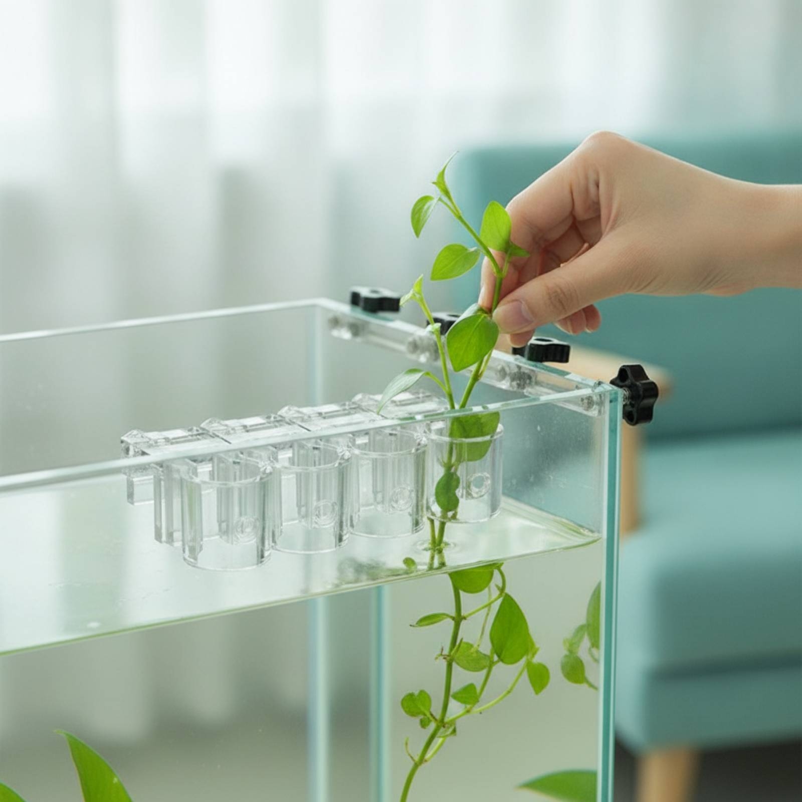 6 قطع مشبك دعم شفاف للزراعة ال - مراجعة Aquarium Planted Plants وسعره