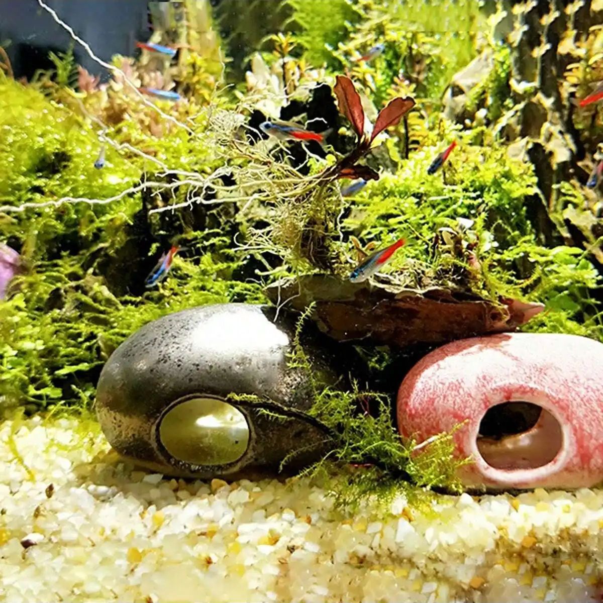 1 قطعة-250 جرام بلورات الطبيعي - مراجعة Planted Aquarium With Gravel وسعره
