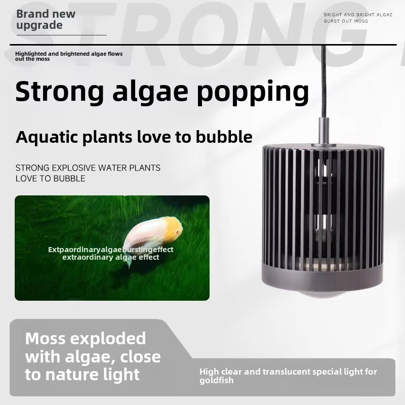 Skynuo سوبر اللون 100 واط المي - مراجعة Planted Aquarium Algae وسعره