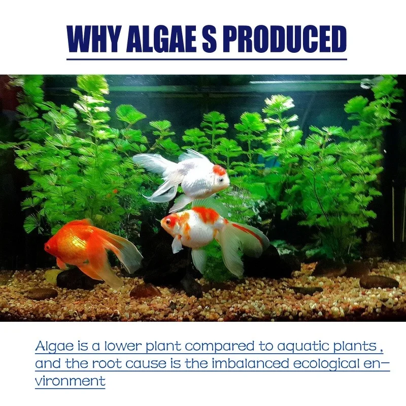 50 جرام من مبيد الطحالب عالي ا - مراجعة Planted Aquarium Algae وسعره