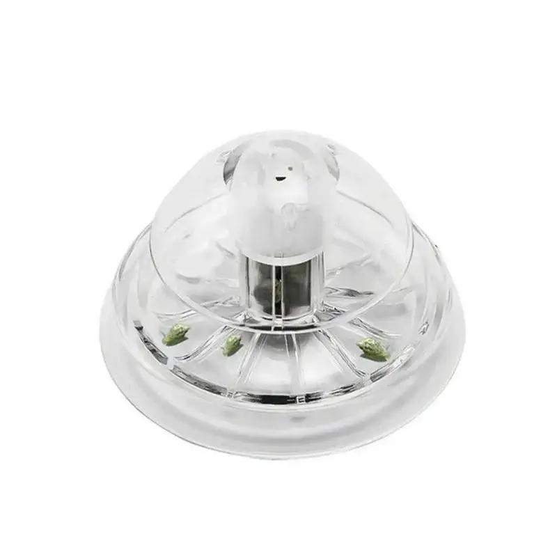 2026 جديد 6/8 سم صندوق مصيدة ح - مراجعة Aquarium Planted Plants وسعره