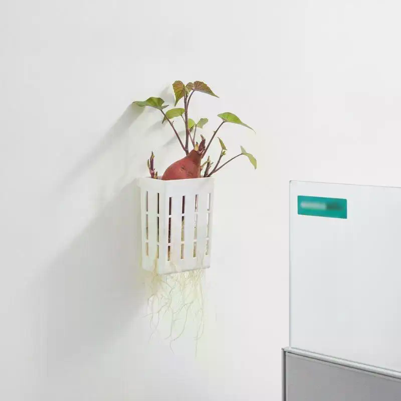 1 قطعة سلة دعم للزراعة المائية - مراجعة Aquarium Planted Plants وسعره