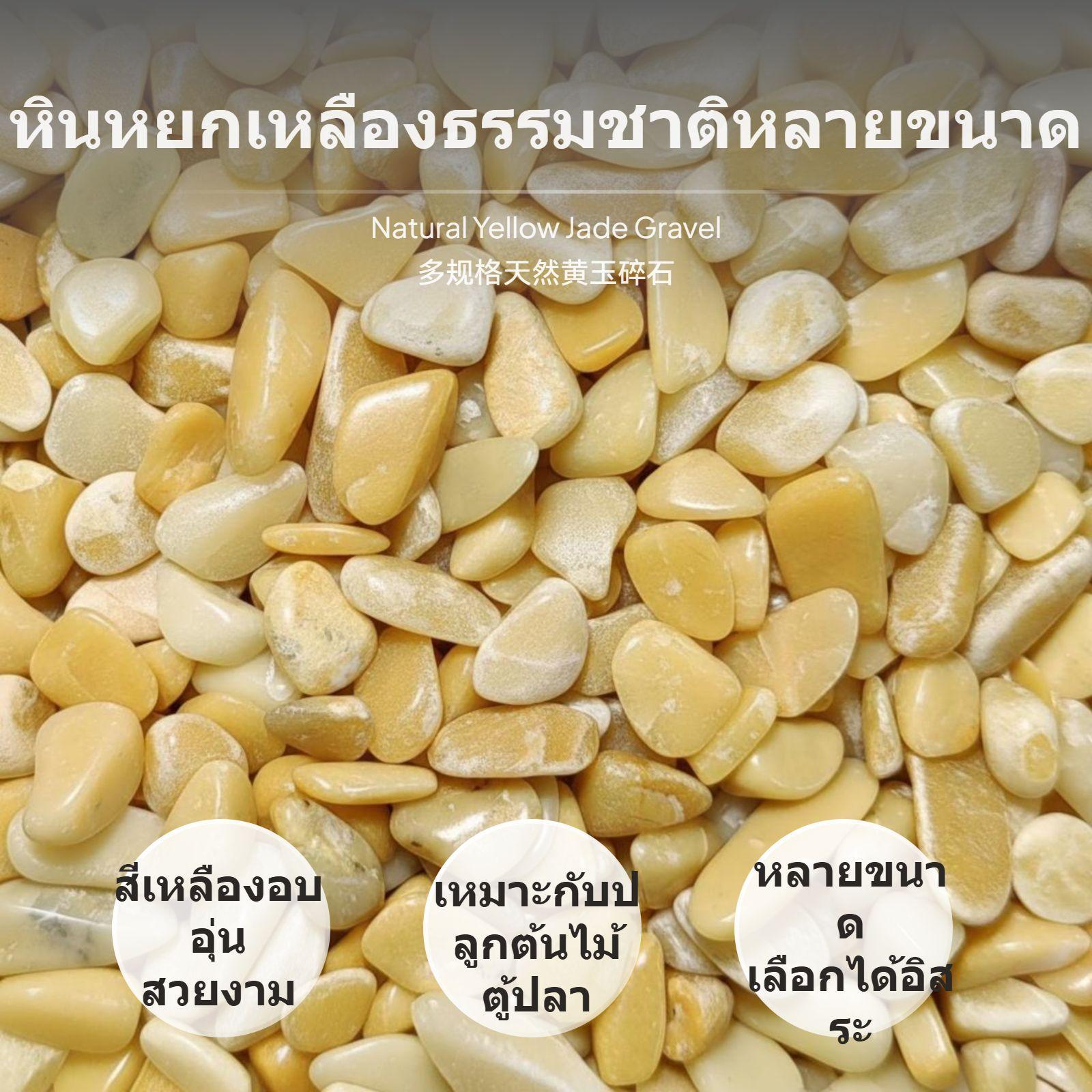 أحجار التوباز الحصوية، صخور زخ - مراجعة Planted Aquarium With Gravel وسعره