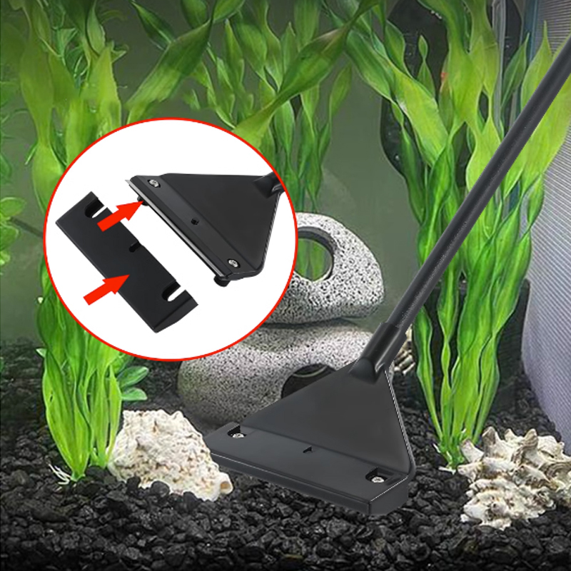 مكشطة إزالة الطحالب من الفولاذ - مراجعة Planted Aquarium Algae وسعره