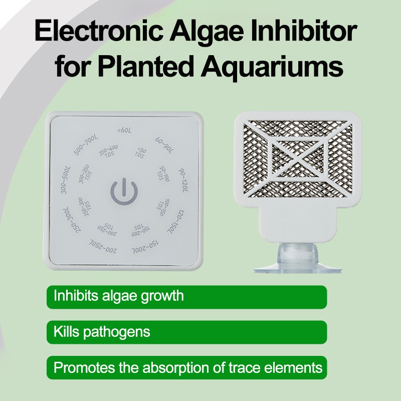 أداة تنظيف حوض السمك الإلكترون - مراجعة Planted Aquarium Algae وسعره