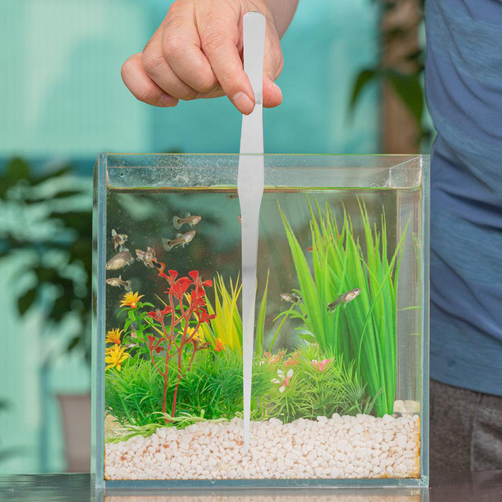 ملقط نباتات مائية من الفولاذ ا - مراجعة Planted Aquarium With Gravel وسعره