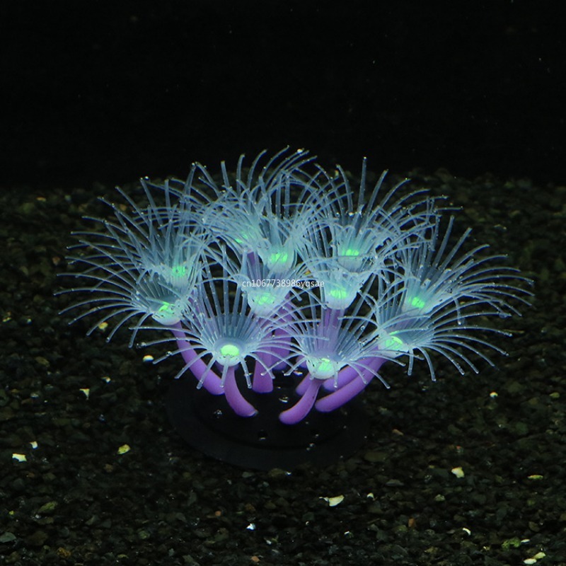 نباتات طحالب مرجانية اصطناعية  - مراجعة Planted Aquarium Algae وسعره