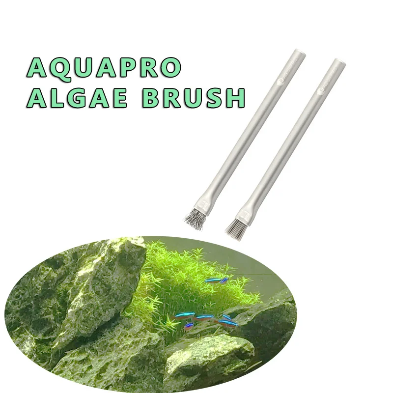 Aquapro الطحالب فرشاة تنظيف فر - مراجعة Planted Aquarium Algae وسعره
